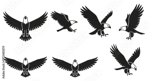 Soaring Eagle Silhouette Collection Multiple Flight Poses.