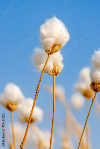 A bouquet of white flowers against a bright blue sky vertical frame
