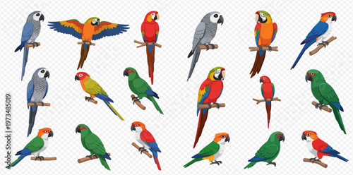 Collection of colorful parrots and macaws in various poses, tropical birds on branches.