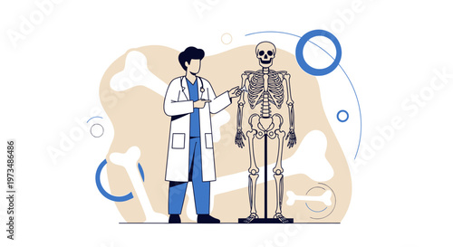 Doctor showing human skeleton model, medical education, anatomy study, healthcare concept