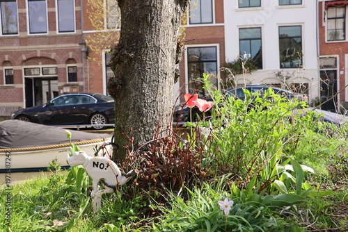 A tree surrounded by plants in a Haarlem neighborhood. Houses and cars create a typical urban scene.