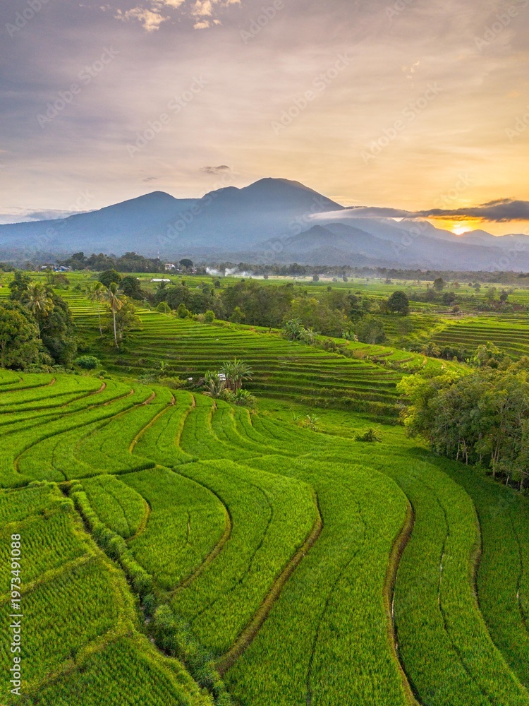 Obraz premium Beautiful morning view in Indonesia, panoramic landscape of rice fields with mountain ranges and clear sky
