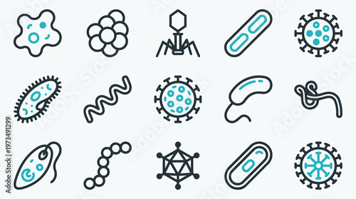 Scientific Illustration of 15 Different Virus and Bacteria Types