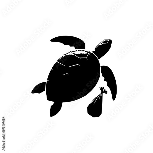 turtle vector illustration