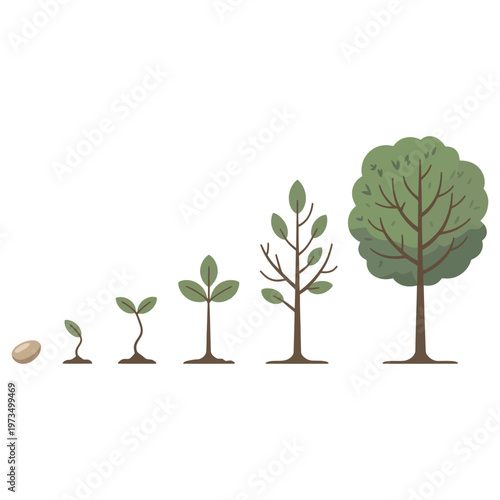 green tree with roots