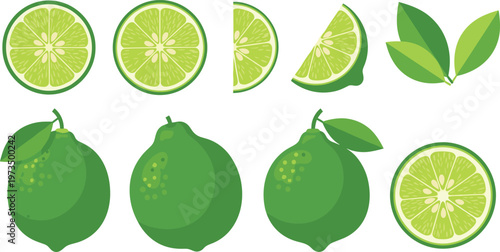 Lime Fruit and Slice Illustration Set with Leaves for Fresh Food, Beverage, and Nature-Themed Designs, Vector Art for Digital and Print Projects