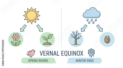 Vernal Equinox Seasonal Change Diagram Illustration. Vector Illustrations. EPS Editable