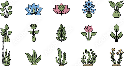 Botanical plants icons set with flowers leaves succulents herbs and decorative greenery elements in minimal flat vector illustration style