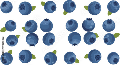 Set of Fresh Blueberry Illustrations with Berries and Leaves for Healthy Food, Organic, and Nature-Themed Designs, Vector Art for Digital and Print Projects