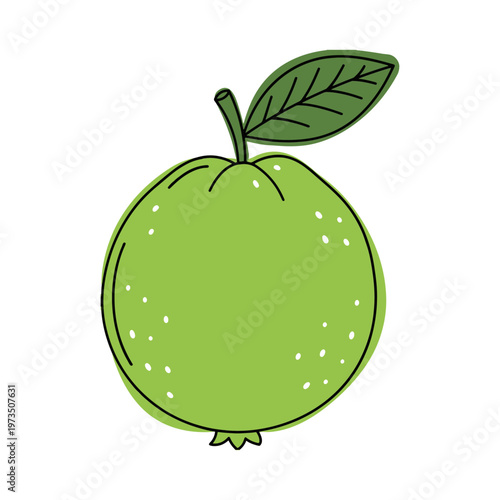 Charming hand-drawn illustration of a whole green guava with a leaf. A simple, textured vector design ideal for juice labels, vegan menus, and botanical-themed healthy product packaging.
