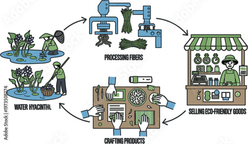 Water hyacinth eco product lifecycle from harvesting fiber processing crafting and selling sustainable handmade goods circular economy vector illustration