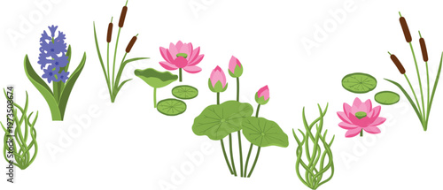 Water plants collection with lotus flowers lily pads reeds cattails and aquatic greenery isolated in clean flat vector illustration style