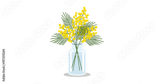 Golden yellow mimosa flowers and lush green feathery leaves are arranged beautifully in a subtle blue-tinted glass bottle set against a pristine white background.