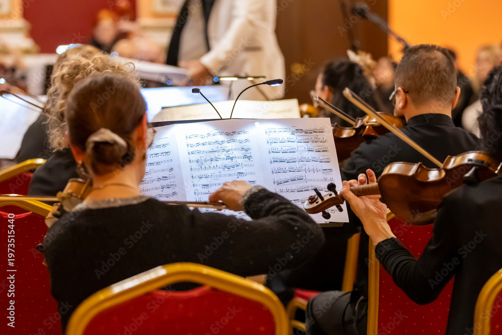 Fototapeta premium Orchestra