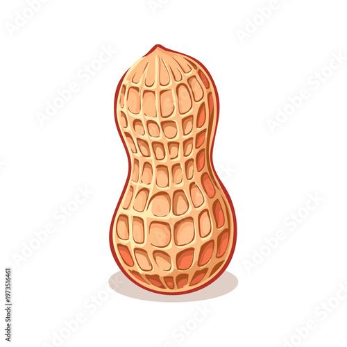 Detailed Illustration of a Single Peanut in its Shell with Intricate Texture