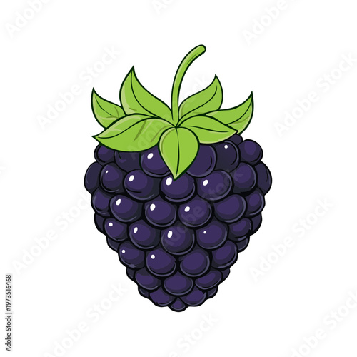 Single ripe blackberry with green leaves on a stem, isolated on white background