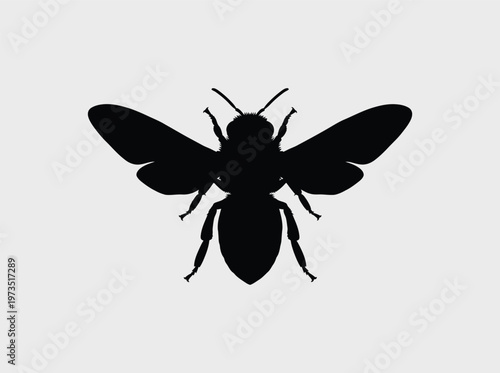 A detailed black silhouette of a honey bee shown from a top-down view on a plain light grey background