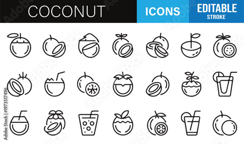 Coconut and exotic fruit symbols set for menus, smoothies and refreshment themes