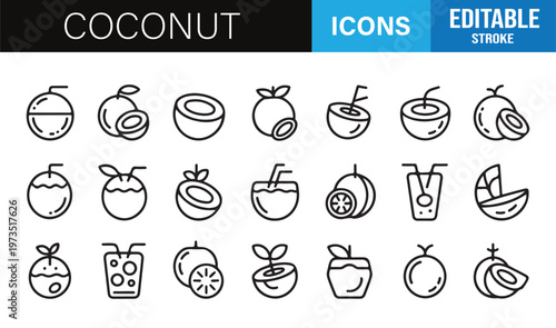Modern coconut icon collection featuring drinks and tropical fruit symbols in outline style