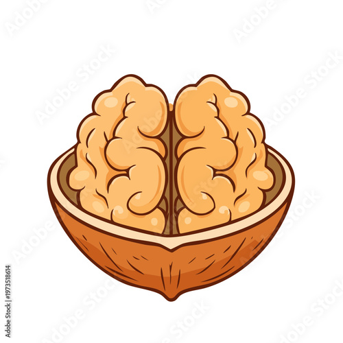 Brain in a Walnut Shell Symbolizing Intelligence and Ideas