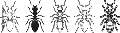 Ant Icon Set, Insect Vector Collection, Minimal Outline and Solid Ant Bug Icons for Nature, Biology, Wildlife, Colony and Educational Design