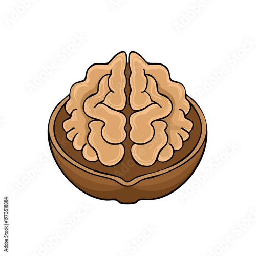 Stylized Illustration of a Walnut Half Shaped Like a Human Brain