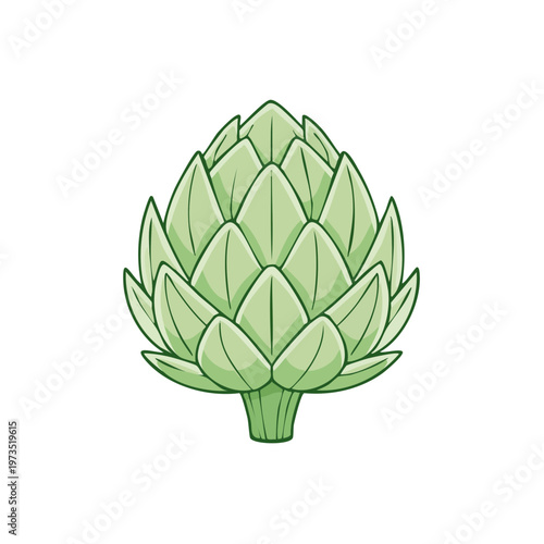 Green Artichoke Vegetable Illustration With Simple Clean Outline