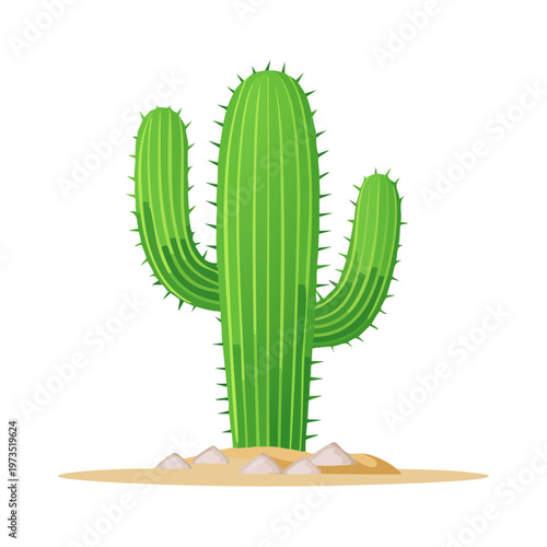 Vibrant Saguaro Cactus with Desert Floor and Stones