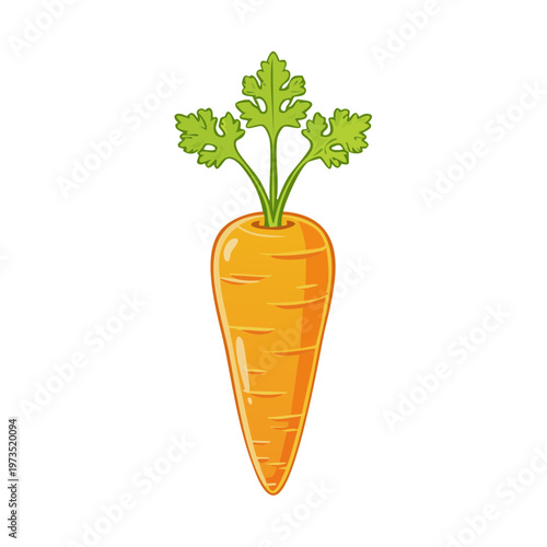 Simple Vector Illustration of a Fresh Orange Carrot with Green Leafy Tops
