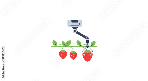Robotic arm picking ripe strawberries.