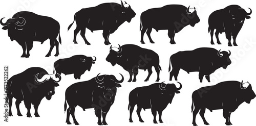 Black silhouettes of bison on white background standing