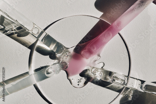 Cuadro en lienzo Serum droplets merging on petri dish with pipettes creating blend