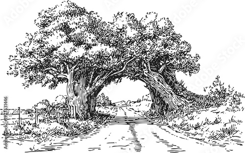 arch formed by intertwined old trees over a rural dirt road natural tree tunnel in countryside landscape