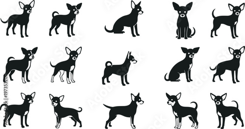 Chihuahua dog silhouettes set, small breed vector collection, different poses, pet illustration, black and white icons, flat design, animal graphic, isolated background
