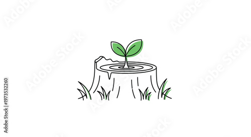A young sprout growing from a tree stump symbolizing renewal