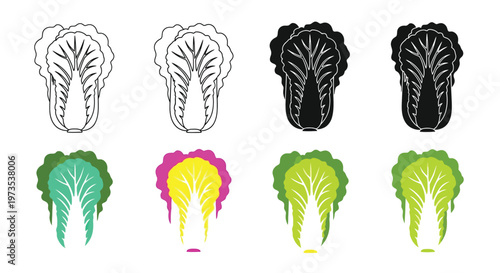 Stylized napa cabbage illustrations in varying colors and outlines