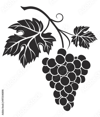 Grape cluster silhouette with leaves isolated on white background