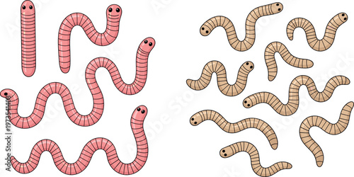 Cartoon vector illustration of pink and tan worms in playful segmented character designs