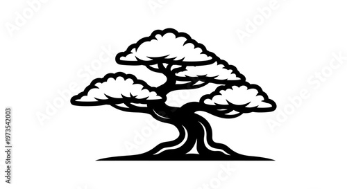 Black and white bonsai tree illustration with rounded canopy and minimalist style.