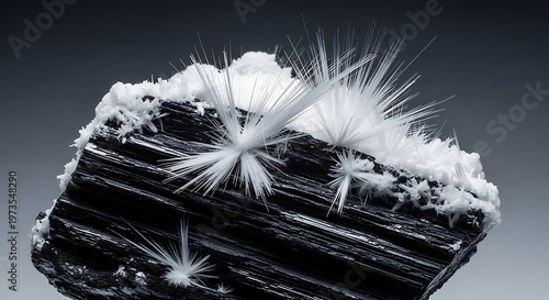 white acicular mineral crystals forming intricate patterns on dark rock captured in monochrome macro photography for science and geology.