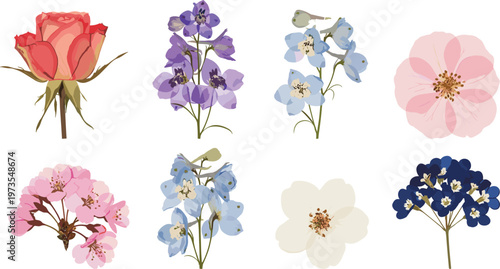 Vector illustration set of diverse spring flowers featuring a red rose purple delphinium blue blossoms pink cherry blossoms and white flowers for nature design