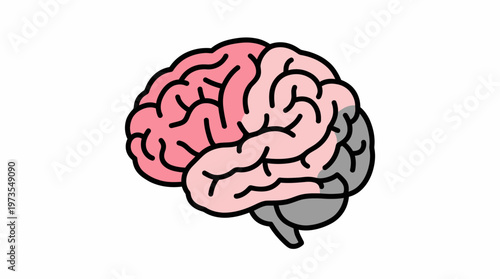 Illustration of a human brain with distinct lobes highlighted in different colors
