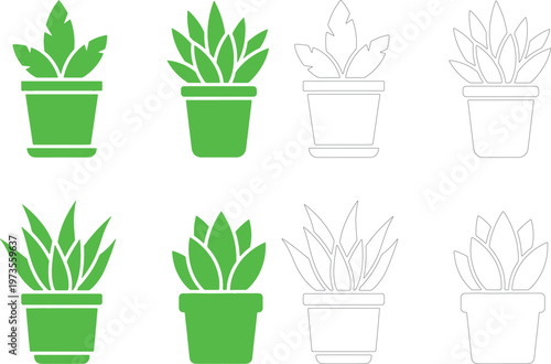 A group of potted plants with green leaves