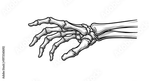 Detailed anatomical illustration of a human hand skeleton, showcasing the intricate bone structure and joints in a realistic, scientific drawing.
