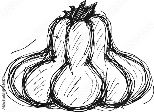 hand drawn pumpkin sketch with rough lines and detailed shading autumn harvest illustration, organic fruit