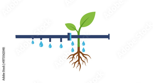 Green plant sprout with drip irrigation.
