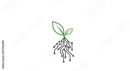 Green plant sprout with roots growing.