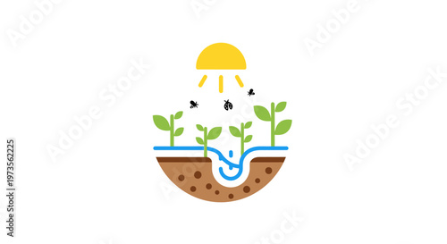 Green plants growing in soil.