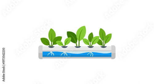 Green plants growing in hydroponic system.