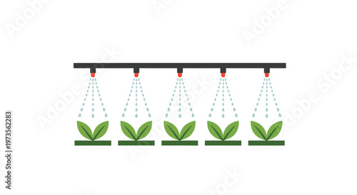 Green plants in hydroponic system.